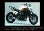 Heartbeat Bikes Calendar 2012